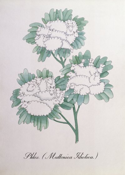 Lángvirág. (Muttonica Idiotica), illusztráció: John Weir „The Bogus Book of Botany” alkotó: John Weir