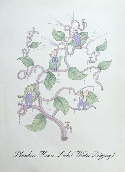 Vízvezeték-szerelő póréhagyma (Water Drippery), illusztráció John Weir „A botanika hamis könyvéből” alkotó: John Weir