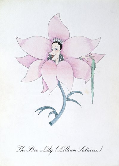 Méhliliom (Lilium Satirical.), illusztráció John Weir „A botanika hamis könyvéből” alkotó: John Weir