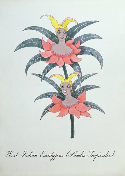 Nyugat-indiai eukalipszó (Samba Tropicalis.), illusztráció John Weir „A botanika hamis könyvéből” alkotó: John Weir