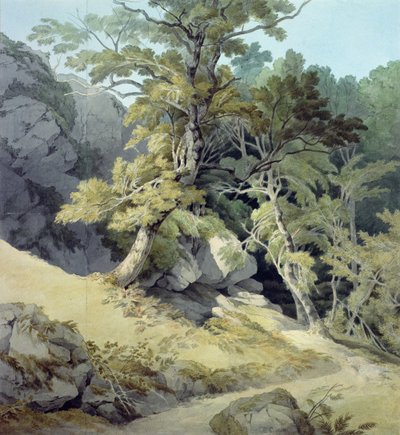Canonteign, Devon alkotó: John White Abbott