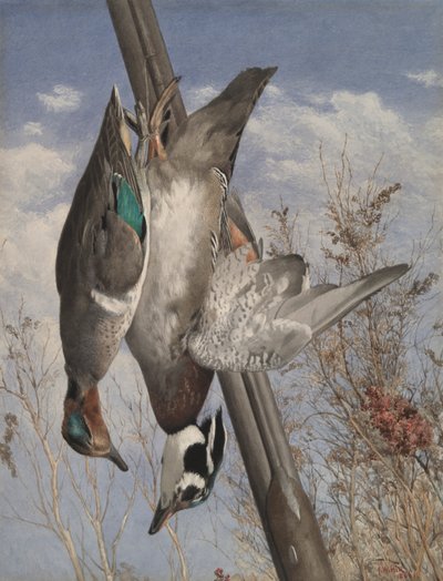 Hanging Game Birds alkotó: John William Hill