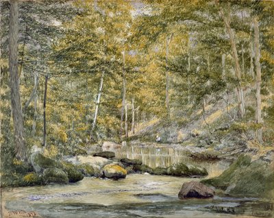 Erdei medence férfi horgászattal, 1870 (wc papíron) alkotó: John William Hill