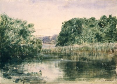 Kilátás a tóra fákkal, 1857 alkotó: John William Inchbold