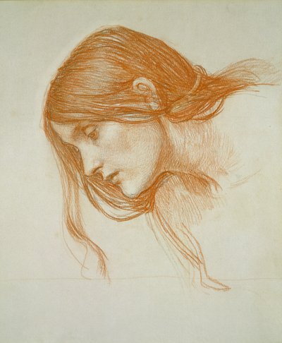 Tanulmány a lány fejéről (piros kréta papíron) alkotó: John William Waterhouse