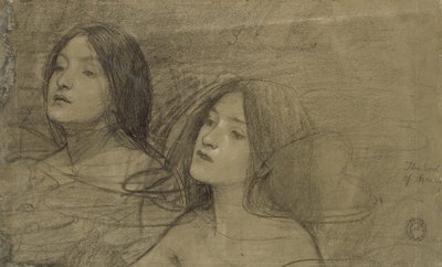 Tanulmány két nimfáról a „Hylas és a nimfák” számára (fekete kréta némi kiemeléssel egy fakó szürke papíron) alkotó: John William Waterhouse