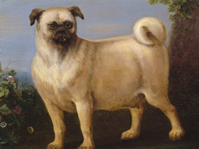 Egy mopsz a tájban alkotó: John Wootton