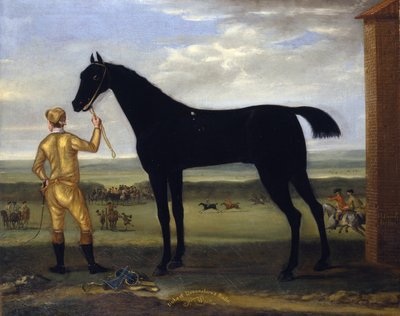 Devonshire hercegének „Basto” versenylova, 1708-25 körül (olaj, vászon) alkotó: John Wootton