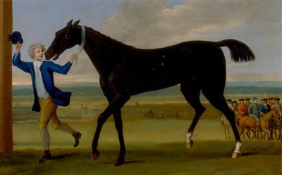 Rutland hercege, Bonny Black alkotó: John Wootton