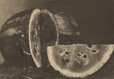 Görögdinnyét vágó ember, 1898-1903. alkotó: Johnson