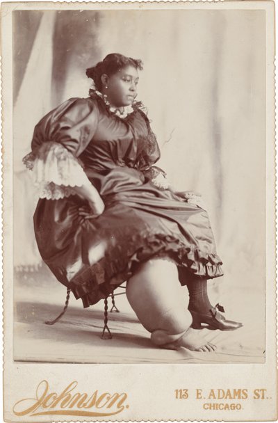 Egy nő portréja,c. 1890 (fotó) alkotó: Johnson