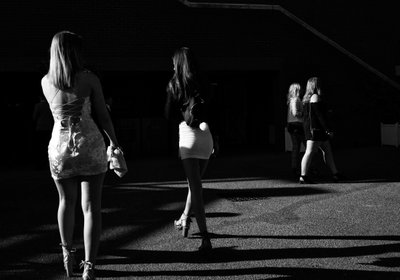 The Goodwood Estate, West Sussex, Egyesült Királyság, 2019 (fotó) alkotó: Jon Nicholson