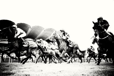 The Goodwood Estate, West Sussex, Egyesült Királyság, 2019 (fotó) alkotó: Jon Nicholson