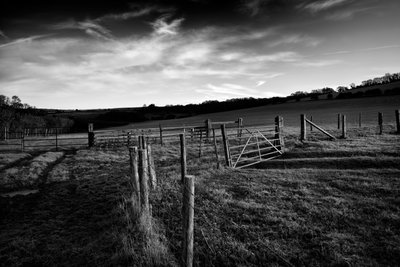 The Goodwood Estate, West Sussex, Egyesült Királyság, 2019 (fotó) alkotó: Jon Nicholson