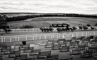 The Goodwood Estate, West Sussex, Egyesült Királyság, 2020 (fotó) alkotó: Jon Nicholson