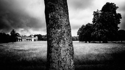 The Goodwood Estate, West Sussex, Egyesült Királyság, 2020 (fotó) alkotó: Jon Nicholson
