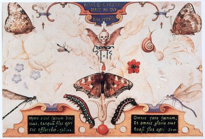 Diptichon virágokkal és rovarokkal, 1591. alkotó: Joris Hoefnagel