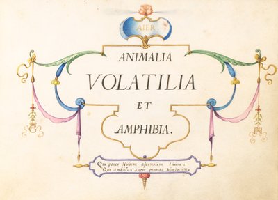 Címlap alkotó: Joris Hoefnagel