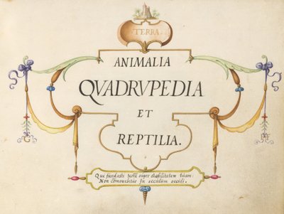 Címlap alkotó: Joris Hoefnagel