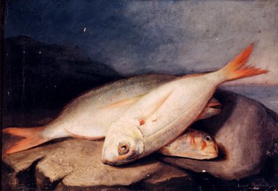 Spanyol: Bodegón de peces alkotó: José Arias Ramírez