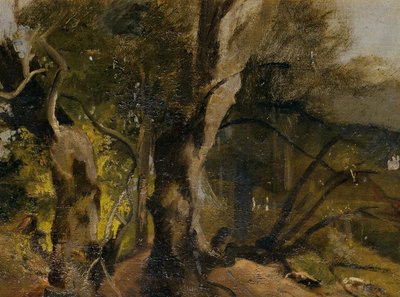 Waldstudie alkotó: Josef Navrátil
