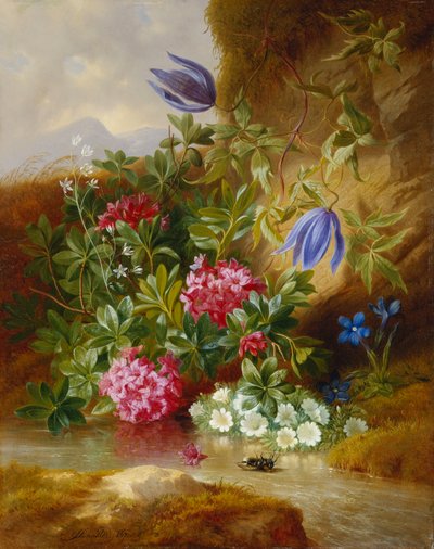 Alpenblum, alkotó: Josef Schuster