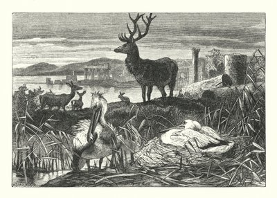 A földi pompa hanyatlása (metszet) alkotó: Joseph (after) Wolf