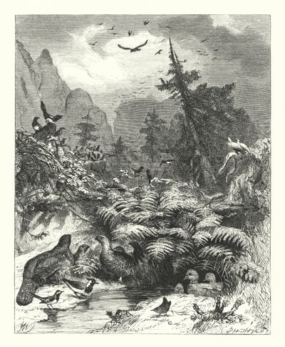 Isten keresése (metszet) alkotó: Joseph (after) Wolf