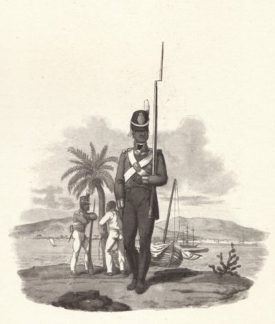 Az 5. nyugat-indiai ezred közlegénye, 1812, 1909 alkotó: Joseph Constantine Stadler