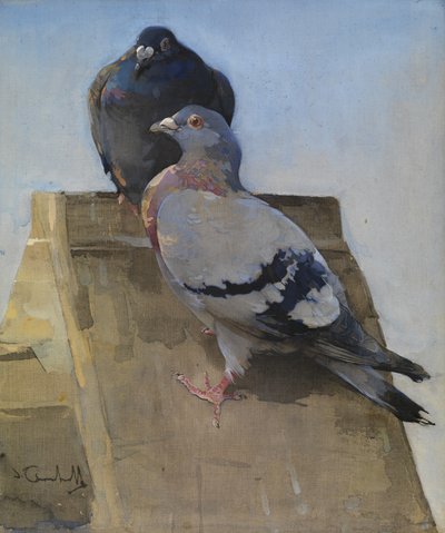 Galambok a tetőn (gouache lenvászon) alkotó: Joseph Crawhall
