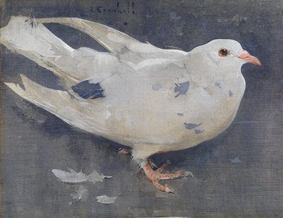 Galamb (gouache lenvászon) alkotó: Joseph Crawhall
