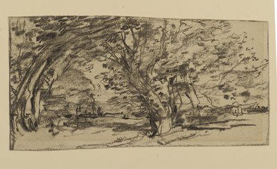 Study of Trees, 1870 (grafit papíron) alkotó: Joseph Frank Currier