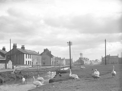 Allonby utcája hattyúkkal és patakkal alkotó: Joseph Hardman
