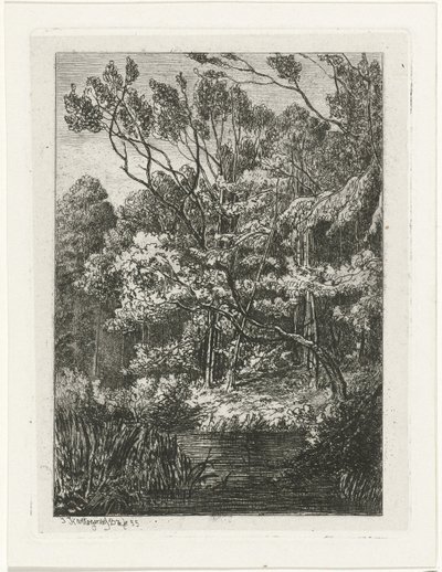 erdő kilátás alkotó: Joseph Hartogensis