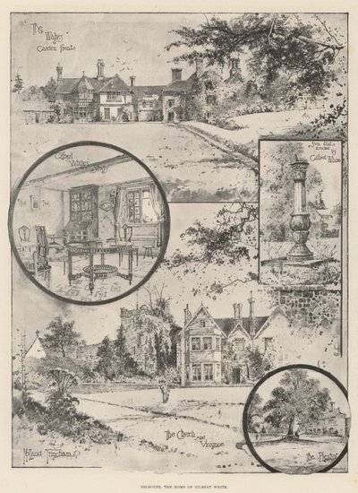 Selborne, Gilbert White otthona alkotó: Joseph Holland Tringham