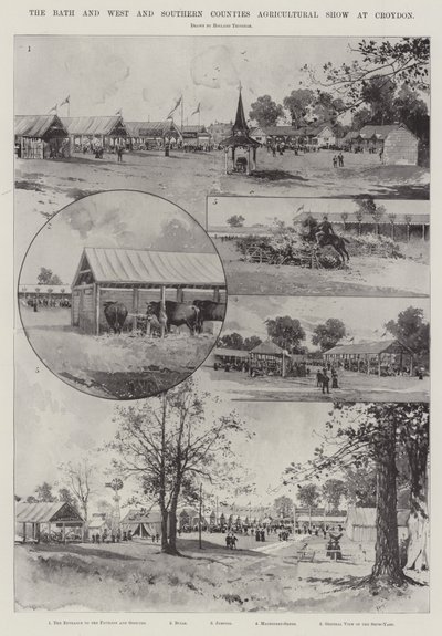 A Bath és a nyugati és déli megyék mezőgazdasági bemutatója Croydonban alkotó: Joseph Holland Tringham