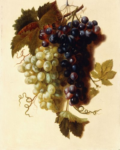 Zöld és vörös szőlőfürtök egy kötélen felfüggesztve, 1796 körül alkotó: Joseph-Laurent Malaine
