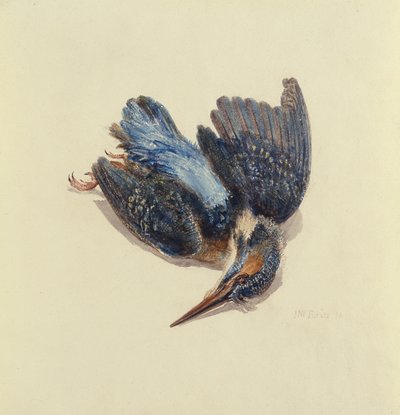Kingfisher, a Farnley Book of Birds-ből, 1816 körül (toll és tinta, valamint akvarell papíron) alkotó: Joseph Mallord William Turner