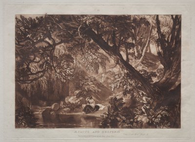 Tanulmányok könyve: Aesacus és Hesperia alkotó: Joseph Mallord William Turner