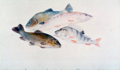 Tanulmány a halakról: két csónak, egy pisztráng és egy süllő, 1822-1824. alkotó: Joseph Mallord William Turner