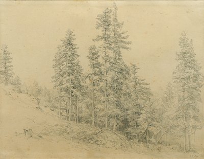 Drága fog alkotó: Joseph Martin Höger