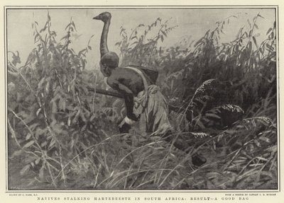 A dél-afrikai Hartebeeste-t leső bennszülöttek, eredmény: egy jó táska alkotó: Joseph Nash