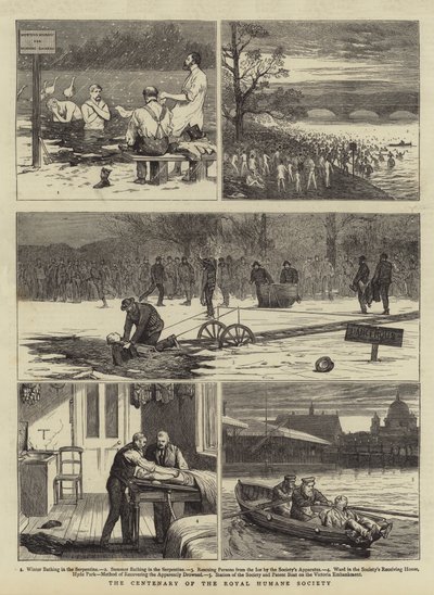 A Royal Humane Society századik évfordulója alkotó: Joseph Nash