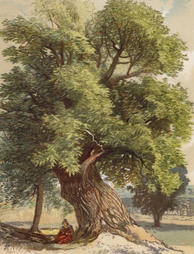 Old Chestnut (színes litográfia) alkotó: Joseph Needham