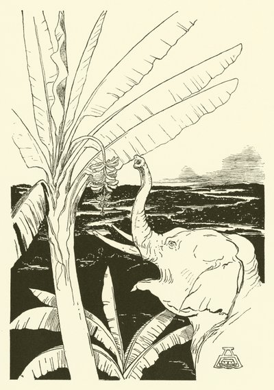 Az elefánt gyermeke banánt fog húzni (metszet) alkotó: Joseph Rudyard (after) Kipling