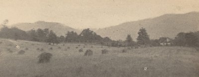 Tájkép fákkal és hegyekkel,c. 1900 (fotó) alkotó: Joseph T. Keiley