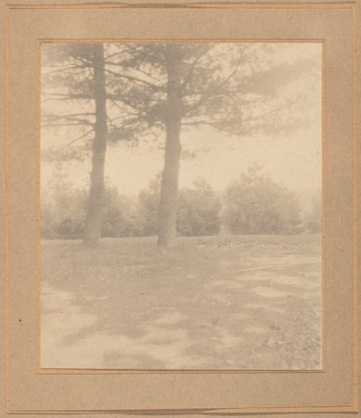 Táj fákkal, c. 1900. alkotó: Joseph Turner Keiley