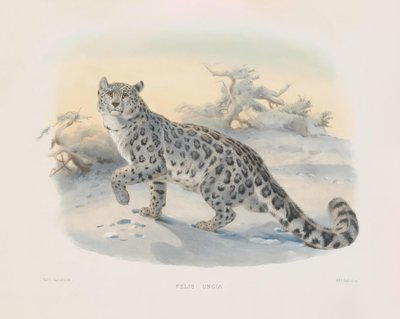  alkotó: Joseph Wolf
