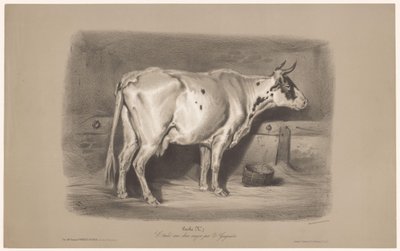 Tehén egy istállóban Vache (cím az objektumon) Állatkísérletek kétféle krétával (sorozat címe) Étude aux deux crayons par Z. Gengembre (sorozat címe az objektumon) alkotó: Joseph Zephyris Gengembre