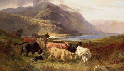 Highland szarvasmarha egy collie-val alkotó: Joseph and Adam, Joseph Denovan Adam